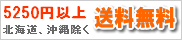 5250~ȏ㑗IkC,,